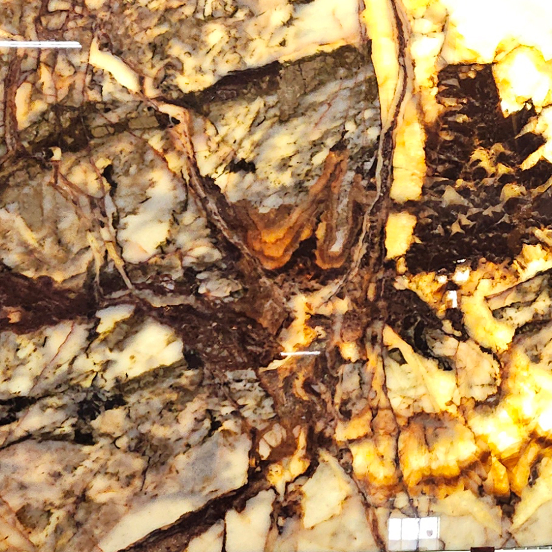 forestriver forestriver