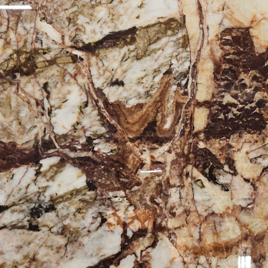 forestriver2 forestriver2