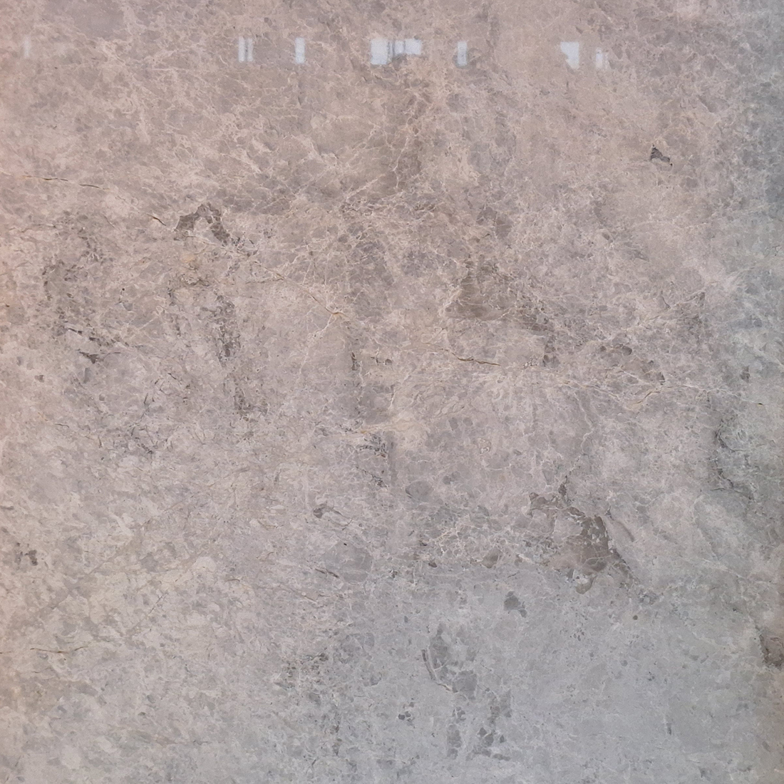 lighttundra lighttundra